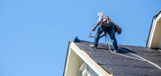 Best Roof Gutter Cleaning  in Wona Lake, IN